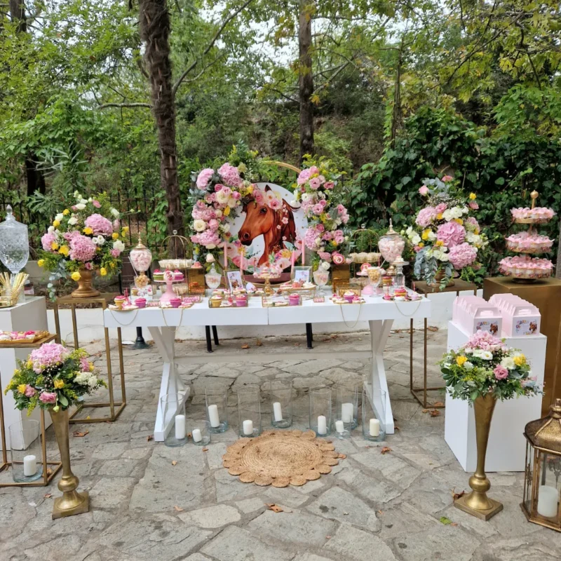στολισμός βάπτισης με θέμα το άλογο