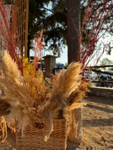 στολισμός βάπτισης boho