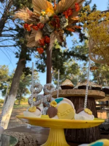 στολισμός βάπτισης boho