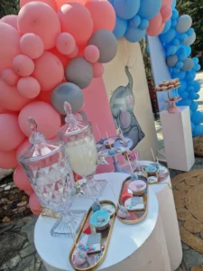 στολισμός βάπτισης για δίδυμα