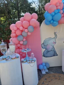 στολισμός βάπτισης για δίδυμα