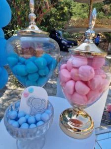 στολισμός βάπτισης για δίδυμα