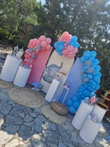 στολισμός βάπτισης για δίδυμα