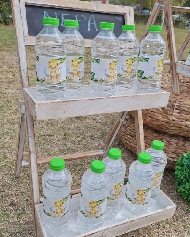 στολισμός βάπτισης λιονταράκι