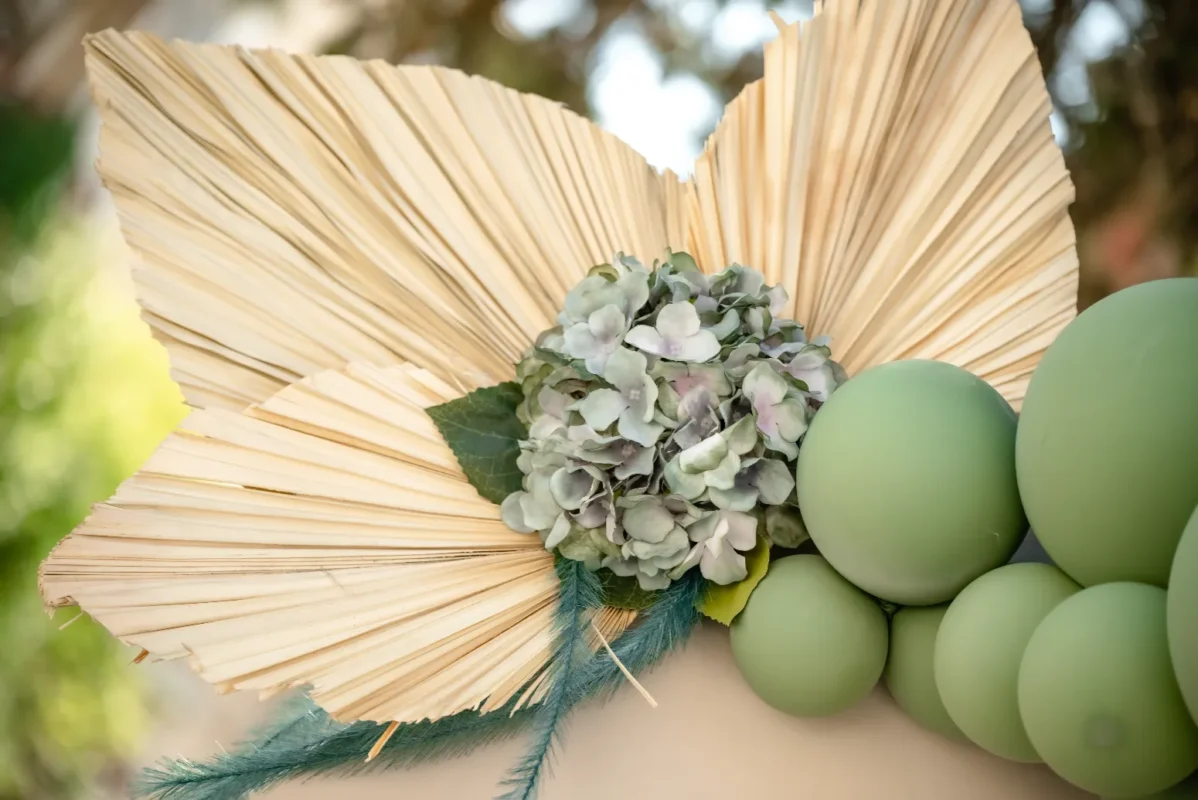 stolismos_vaptisis_arkoudaki