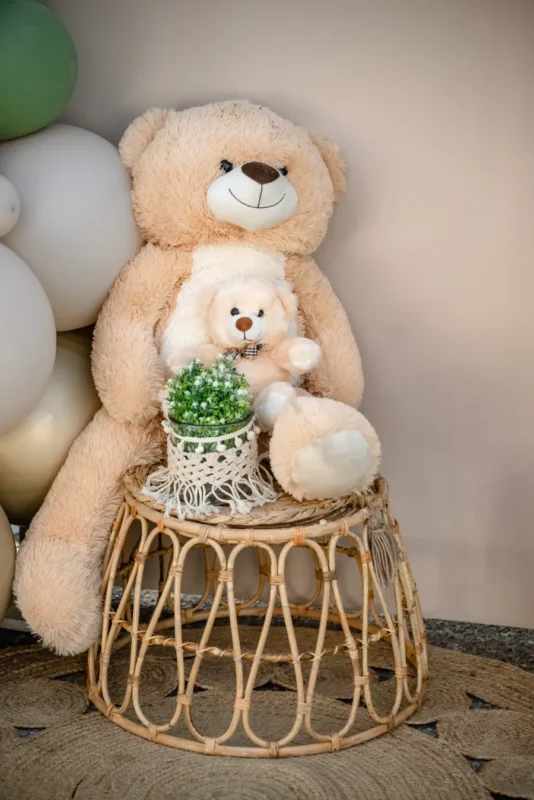 stolismos_vaptisis_arkoudaki